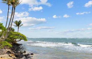 1BR Condo at Oceanfront Resort Kapaa Shore - Foto 4