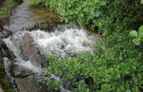 Ferienwohnung in Schiltach - Foto 29