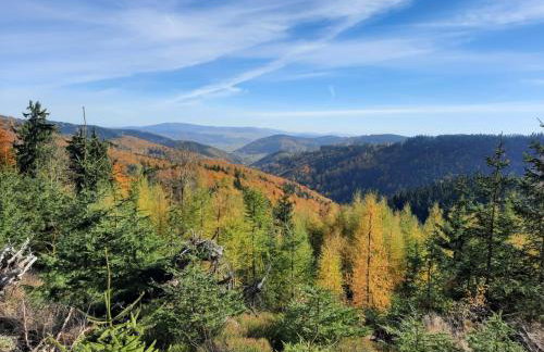 Domek Ostoja - Foto 53