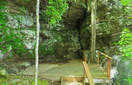 Wonderland Cabin - Enchanting Lakeside Sanctuary - Foto 29