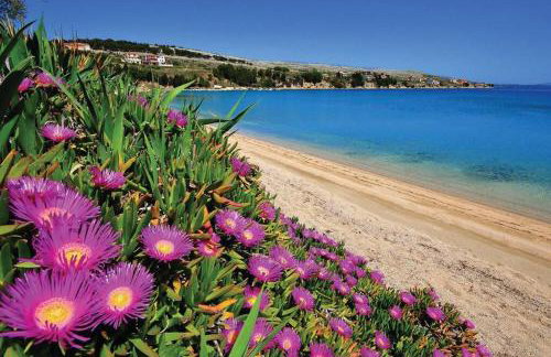 Apartman Maura - Foto 15