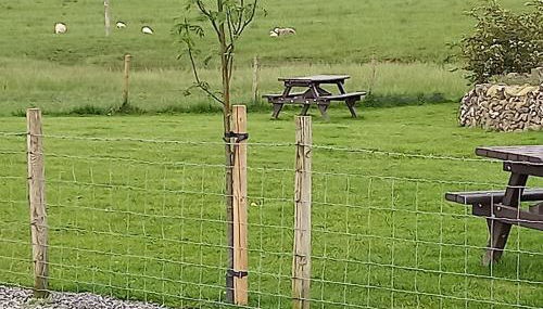 Green Dream - Foto 5