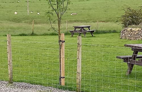 Green Dream - Foto 5