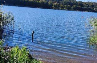 Widokówka Zacisze - Foto 20