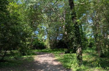 La petite maison zone coulée verte menant a l'océan - Photo 37