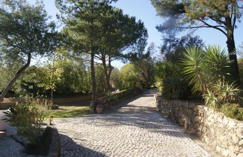 Casa do Vale - Foto 13