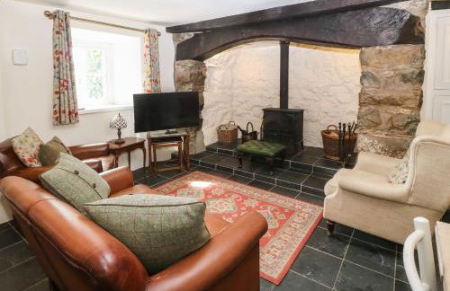 Y Bwthyn Ty Du - Photo 4