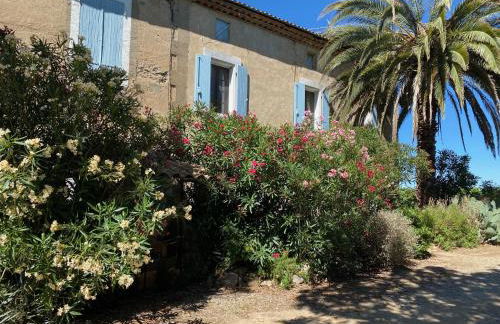 Mas Vigneron - Foto 22