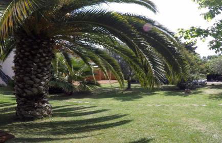 Résidence les Caraibes - Foto 26