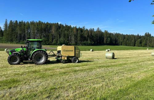 Ferienhof Rohrbachhof - Foto 6
