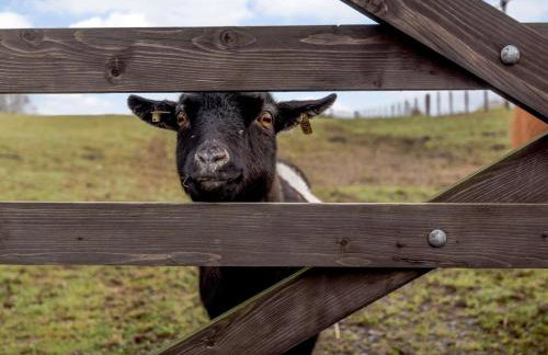 4 Bed in Newtown oc-86784 - Foto 26