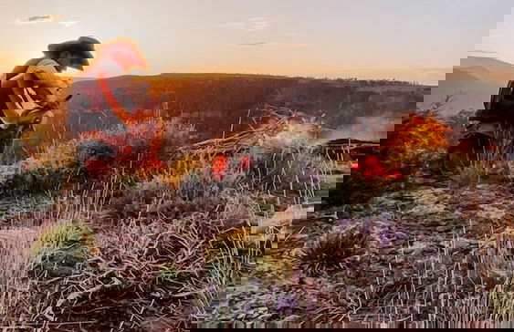 Red Canyon Lodge - Foto 33