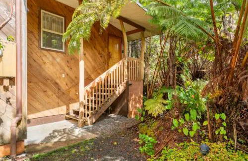 Kilauea iki- Hale Kumu La'au - Foto 14