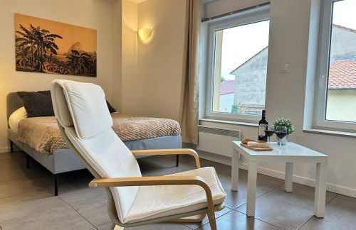 M 104 studio Palm Nest cosy et calme proche Metz - Photo 14