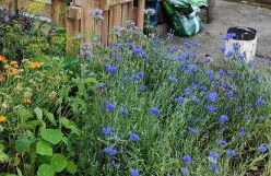 Kreativhof Lehmberg - Photo 28