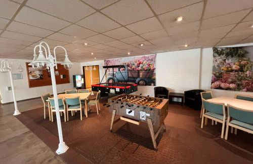 Penthouse - Panorama Suite - Hohegeiß - Foto 45