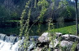 Casa Rural El Corredor en Cabornera de Gordón - Foto 37