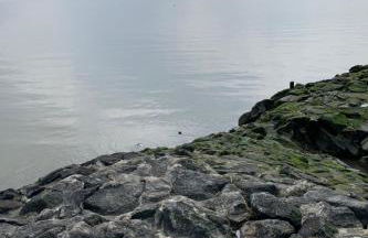 Holiday Home Neuhaus Deichperle by Interhome - Foto 29