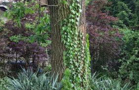 Fort Janowek - Foto 62