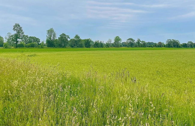 8 Person Holiday Home in Lottorp-by Traum - Foto 31