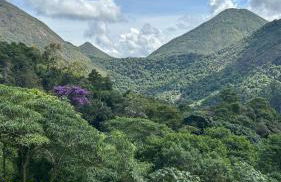 Villa Zarandi - Luxo e conforto que você procura! - Foto 56