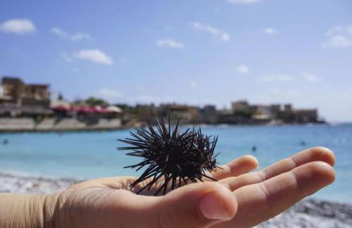 Pezula Mani - Foto 47