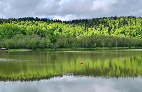 CASA MONTE - Foto 55