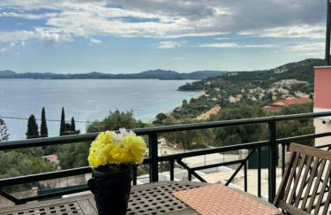 Ionelia Seaview Apartment at Barbati - Foto 22