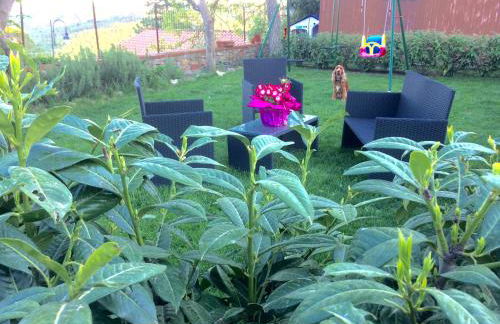 Mansarda degli Ulivi - Photo 10