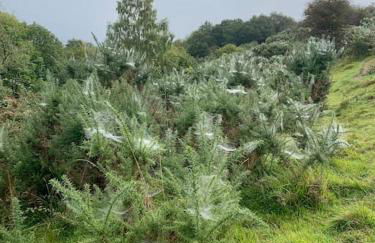 The Snug in Cheltenham, Leckhampton - A Cosy & Unique Space - Photo 27
