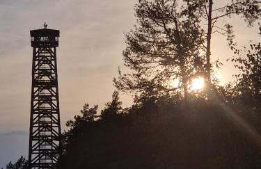 Wiele Żurawi - Foto 28