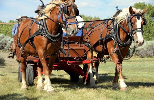 Family Cabin Rental on Beautiful Ranch near Yellowstone National Park, Wyoming - Foto 19