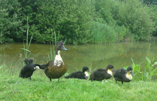 Donnington Grove Hotel & Golf Club - Foto 72