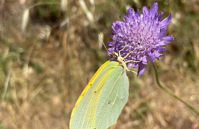 VISITAR BIOUCAS I - Casa Inteira Familiar e Grupo de Amigos - Foto 48
