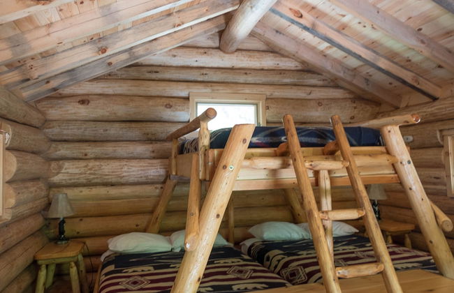 Parc Omega - Foto 41