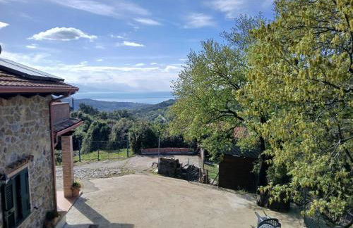 I Corbezzoli - Foto 4