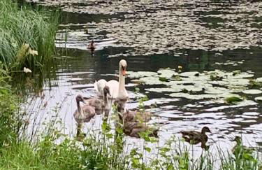 The Woodhouse Cabin 8 - Foto 9