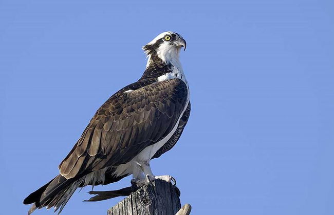 Stunning Luxury Mediterranean-style Private Oasis! - Foto 26