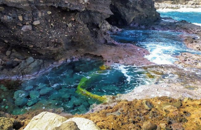 Whale Tails Hotel - Foto 50