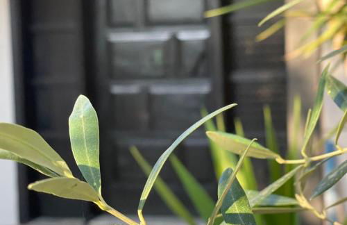 Sylvia s House at Vagia - Foto 78