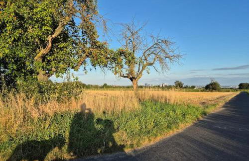 Bungalow, Uneinsehbar, 8 Personen maximal, 3 Personen oben, 5 unten - Foto 17