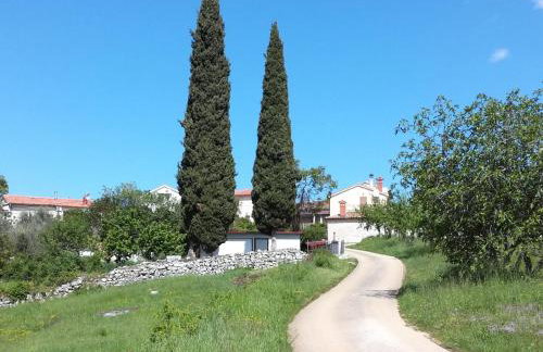 Apartment PARENZANA, little row HOUSE with big green yard in central Istria - Foto 18