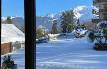 La marmotte: Vue Mont Blanc, terrasse, parking - Foto 30