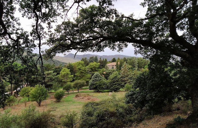 Agriturismo Bosco Pianetti - Foto 20