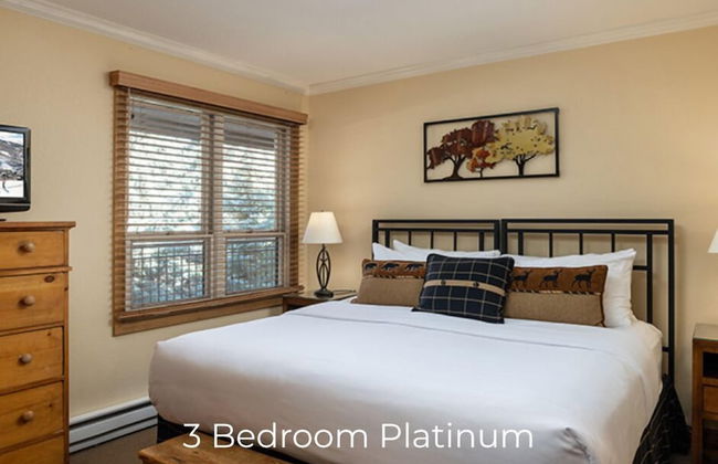 Montaneros in Vail - Foto 46