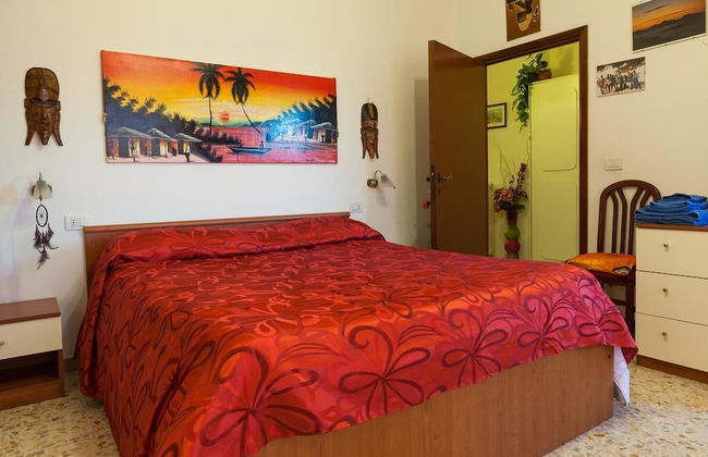 Artisti del Cavallo Tourism - Foto 2