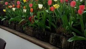 Ferienwohnung Am Eck - Foto 3, Garden view