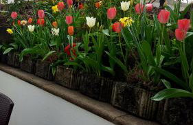 Ferienwohnung Am Eck - Photo 3