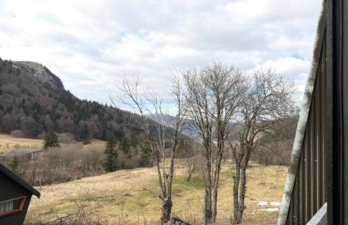 Grand studio 36m² au Mont-Dore, au pied des pistes, 4 couchages - FR-1-415-207 - Foto 16