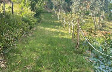 Luxury Country Villa Daniele - Foto 39